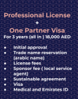 Grab The Best Offer on Professional License in Dubai