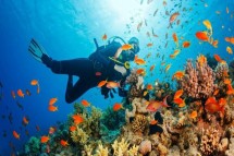 Best Padi Certified Scuba Diving Center in Kerala | Snorkeling in Kovalam