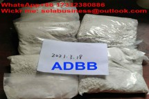 Price ADB-Butinaca 5cladb/6cladb WhatsApp 86-17332380886
