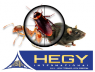 RAT & mice control treatment service, Doha