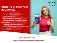 Best Immigration Consultants In Goa For Canada – TIC