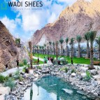 Wadi Shees