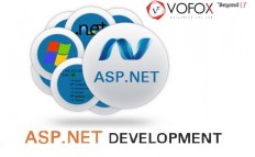 Hire .NET Developers In India