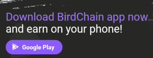 Have you heard about BirdChain, and do you really know what BirdChain is all about?.