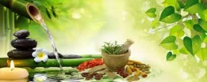 Indisky Herbs : Best Ayurvedic Medicine Online