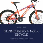 Buy Flying Pigeon Nola Bicycle at Best Prices