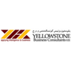 YELLOWSTONE Business Consultants (YBC) Provides the Best Financial Management Services in Dubai, UAE