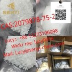 CAS: 2079878-75-2 WhatsApp: +86 13273196098 (Mail: Lucy@senyi-chem.com)