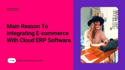Improve Your Business Efficiency With ERP ECommerce Integration