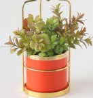 Enjoy the amazing offers on planters online at Wooden Street