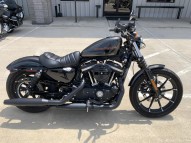 2019 Harley davidson Sportster 883 Iron available for sale
