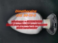 Dimethocaine CAS 94-15-5 