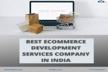 Best Ecommerce Development Services Company in India