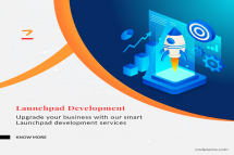 Launchpad Development Company - Launchpad Development platform