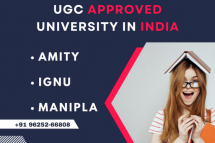 What courses or programs does Manipal Online University offer?