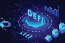 Defi Development Company