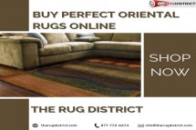 Buy Perfect Oriental Rugs Online- The Rug District