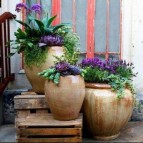 Searching for elegant outdoor planters?