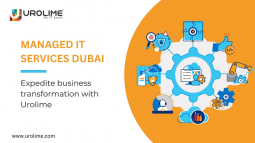 Result-oriented and Cost-effective Managed IT Services in Dubai | Urolime