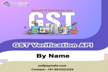 Get GST Verification By Name API at best Price