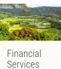 Insurance Consulting Big Island