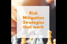 Would you like to know more about risk mitigation plans and strategies?