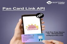 Get Pan Aadhaar Link API at Affordable Price