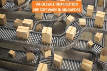 Wholesale distribution ERP software in Singapore
