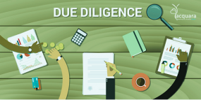 Need Financial Due Diligence Services for your Firm?