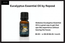 Buy Eucalyptus Essential Oil online .