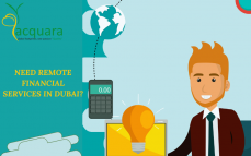 Need Remote Financial Services in Dubai?