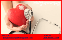 Best Heart Transplant Centers in India