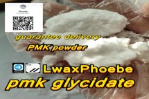 Supply pmk glycidic acid 28578-16-7.13605-48-6
