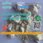 stearm api by apihp clonazolam 33887-02-4