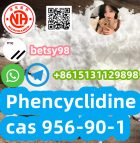 Hot sale Phencyclidine cas 956-90-1