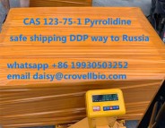CAS 123-75-1 Pyrrolidine supplier in China ( whatsapp +86 19930503252