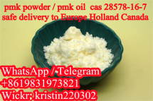Pmk cas 28578-16-7 pmk oil pmk ethyl glycidate pmk powder