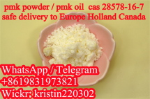 White / Light Yellow Pmk Powder, Pmk Oil, Pmk Liquid, Pmk Ethyl Glycidate, Pmk Methyl Glycidate, CAS 28578-16-7, CAS 13605-48-6, Netherlands, Poland, Spain, Canada