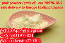 New Pmk Powder Pmk Ethyl Glycidate CAS 28578-16-7 Pmk Oil CAS 13605-48-6 in Stock