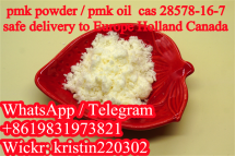 China Suppliers Sell Hot Sale Chemical  Products Safe Delivery CAS 28578-16-7 Pmk Ethyl Glycidate Oil New Pmk Powder with Good Price