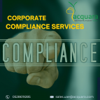 Are You Looking for Compliance Consulting Firms in Dubai