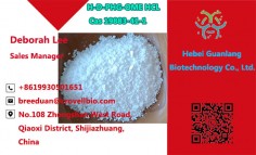 Factory Sells H-D-PHG-OME HCL Cas 19883-41-1 with Good Price ( +8619930501651