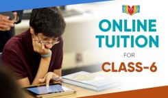 Discover Personalized 1-on-1 Live Online Tuition For Class 6 - Ziyyara