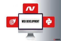 Best Web Application Development Company Zenesys