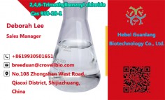 Good Price 99% 2,4,6-Trimethylbenzoyl chloride Cas 938-18-1 ( +8619930501651