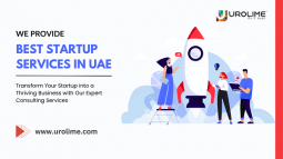 Best Startup consulting Services in UAE
