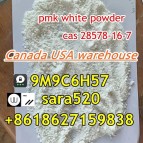 Canada USA Warehouse PMK Powder CAS 28578-16-7 Safe Delivery