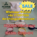 99.8% procaine base manufacturer supply 59-46-1/51-05-8