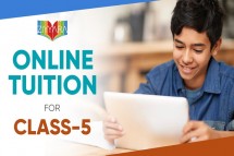 Why Personalized Online Tuition For Class 5 is a Great Choice - Ziyyara