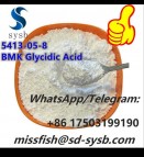 CAS 5413-05-8   BMK Glycidic Acid    Ethyl 2-phenylacetoacetate